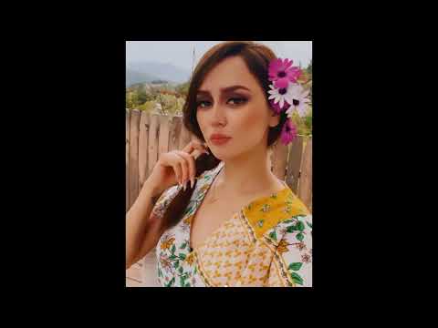 عاشق شده ام به یارک بیگانه وا ی به دل پروانه مدینه