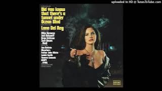 Lana Del Rey - Let the Light In ( Instrumental)