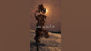 قران كريم بصوت جميل #قران_كريم #اكسبلور #راحة_نفسية #المصحف #quran