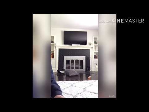 Epic reverse trick shots!!!
