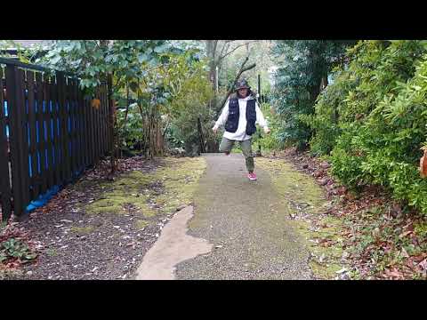 Neo Gal Wop－JP THE WAVY 踊ってみた