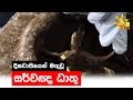 දීඝවාපියෙන් මතුවූ සර්වඥ ධාතු - Hiru News