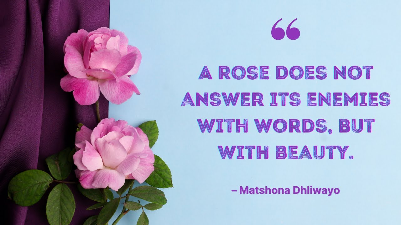 🌹Romantic Rose Quotes For 2022 | Beautiful Rose Quotes | Quotes About Roses And Thorns🌹