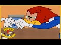 Woody Woodpecker Show | Thrash for Cash | 1 Hour Compilation | Cartoons For Children