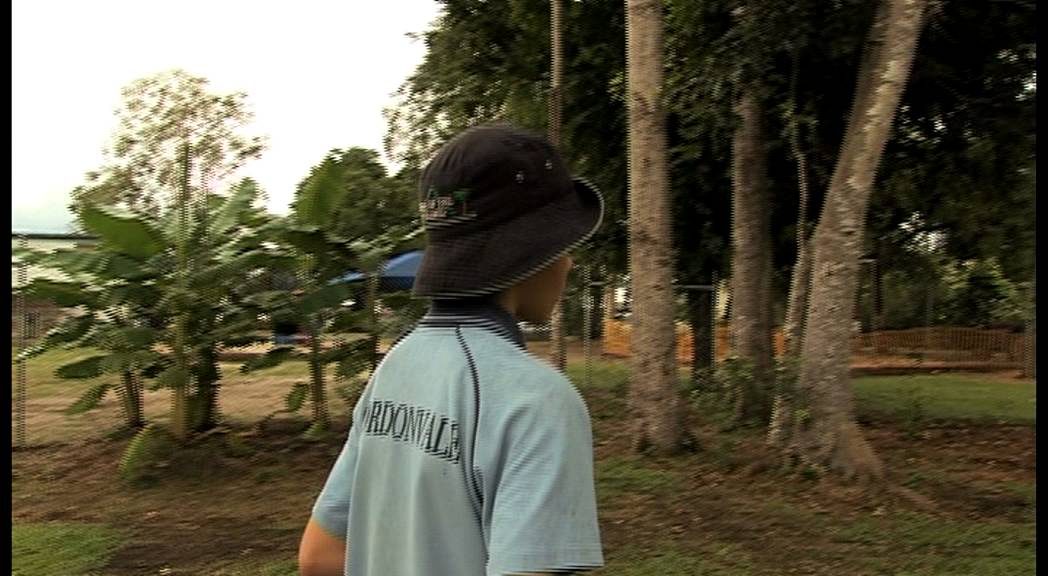 WWF Earth Hour Awards 2013