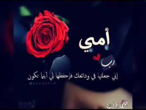 يا امي يا نبض قلبي بروح افديك يا امي فدوه لضحكتك