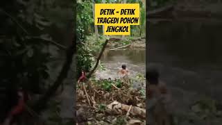 DETIK - DETIK TRAGEDI POHON JENGKOL YANG ANGKER #funny #comedy  #viral #trendingshorts #humor