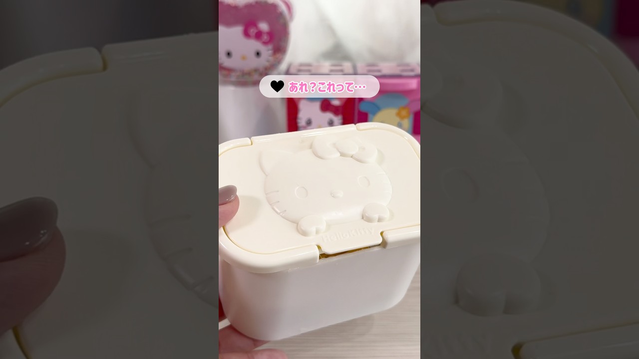 Dollar Store DIY] Making a Hello Kitty accessory case with a wet