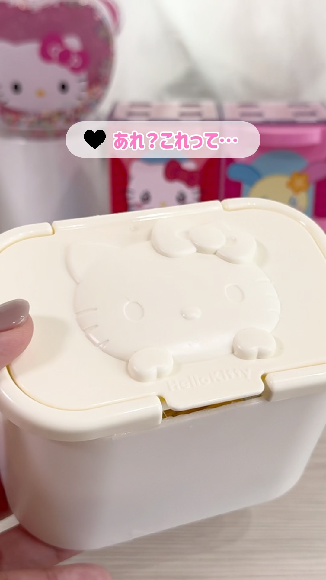 Dollar Store DIY] Making a Hello Kitty accessory case with a wet