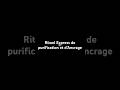 Rituel Express de Purification et d’Ancrage