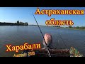 Астраханская область Харабали август 2018