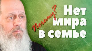 Почему нет семейного мира? (о. Владимир Головин)