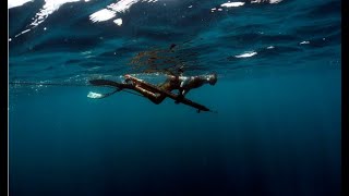 Reportage chasse sous-marine : Dans les profondeurs de l'Atlantique