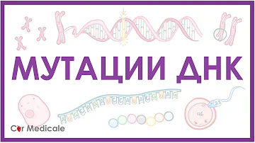 Мутации ДНК - генные, хромосомные, геномные | делеция, транслокация, инверсия - кратко