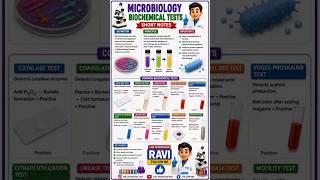 Microbiology Biochemical Test #medicalstudent #dmlt #bmlt #labtechnician #viral