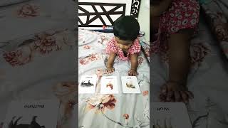 flashcards// picture identification//Aadhya's journey #toddlergirl #smilebaby #baby #babygirl