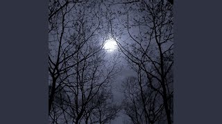 Dark Daze feat Suicide Ru U0026 Jerz Jackson