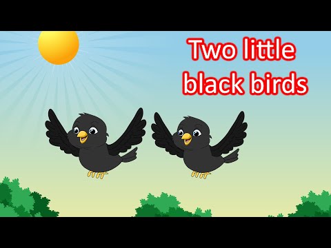 Two little black