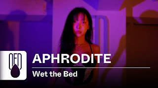 Chris Brown  Wet The Bed feat Ludacris  Aphrodite choreography