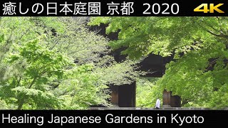 [4K] 癒しの日本庭園 京都 2020 Healing Japanese Gardens in Kyoto