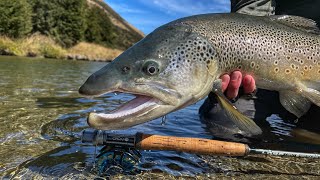 Exploring World Renowned Brown Trout River | Big Fish on Big Drys.
