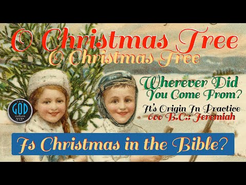 Video: Matuto pa tungkol sa Christmas Tree Varieties