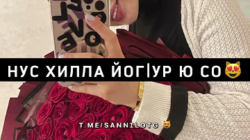 Нус хилла йог1ур ю со — Sanni.lo 😻