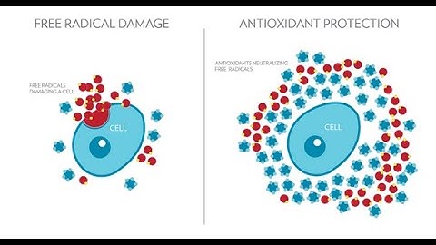 Gốc Tự Do là gì? Chúng ảnh hưởng gì tới cơ thể bạn? Đo lường khả năng chống gốc tự do bằng cách nào?