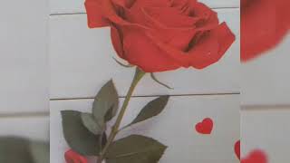 saykoji feat anie carera cintaku takan berubah