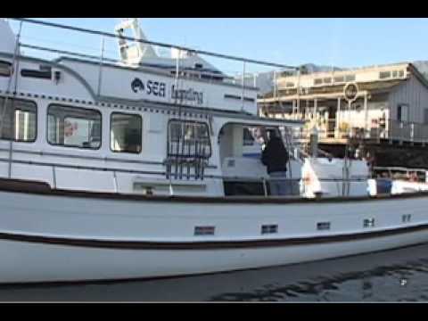 stardust sportfishing