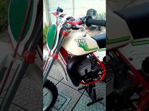 Tgm 250 1980