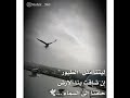 ليتني طائر في السماء ليتني طائر في السماء