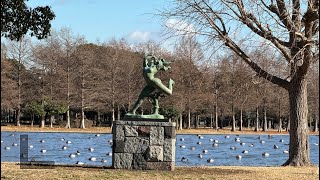 Amazing Birds @ Mizumoto Park, Tokyo 東京都水元公園賞鳥の素晴らしい鳥たち