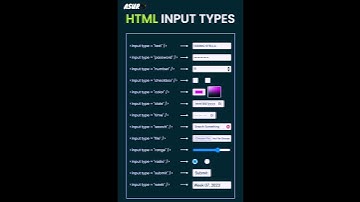 Create Html input type for your website💻 #coding #website#webdev #code #html #shorts #youtubeshorts