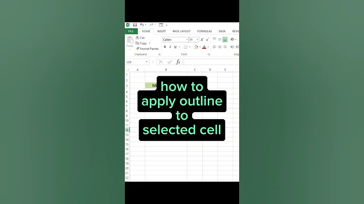 Mastering Excel: How to Apply Outlines to Selected Cells #excelshorts #excel