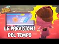 COME VEDERE LE PREVISIONI DEL TEMPO ☀☔ ANIMAL CROSSING NEW HORIZONS