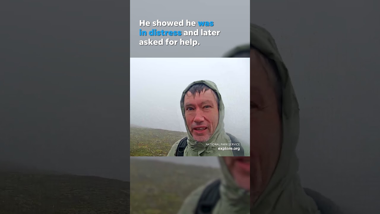 Lost hiker rescued after asking for help on live bear cam on mountain #Shorts