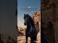 Ego ki baat mat kar lala whatsapp status #newstatus #trinding #horse #J.d