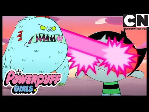 CHICHILLASAURUS | Суперкрошки ЗАБАВНЫЙ КЛИП | Cartoon Network