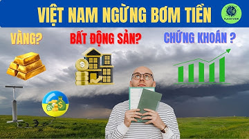Việt Nam ngưng bơm TIỀN. Bất động sản, Vàng, Chứng khoán sẽ đi về đâu?