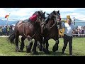 Parada cailor de la Marginea, Bucovina 2 Iunie 2019 Nou !!!