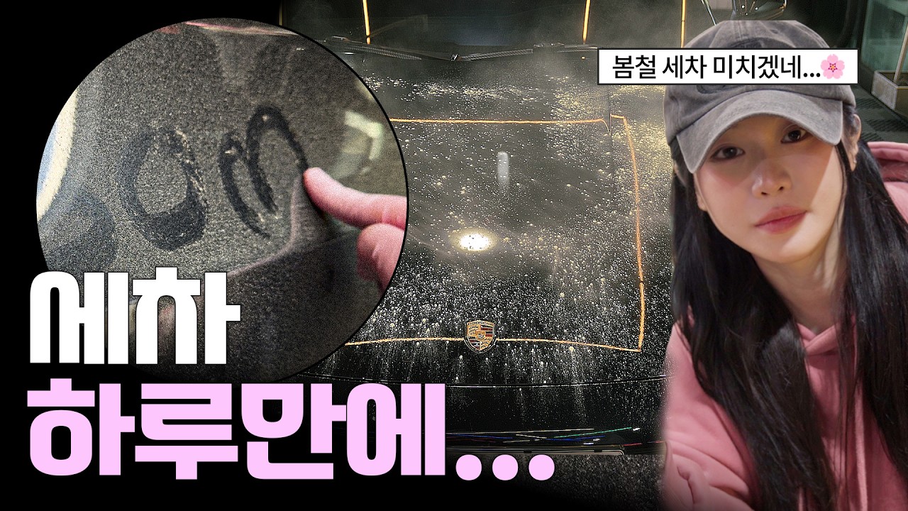 세차했는데 먼지가 더 붙는다? 왁스를 잘못 쓰셨네요...🌸