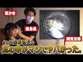 【 プロ の 耳掃除 】4ヶ月 耳かき しないとどうなる? MAYONAちゃんの 耳の中 を イヤーエステサロン で見てもらいました!