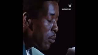 Buddy Guy Hoochie Coochie man