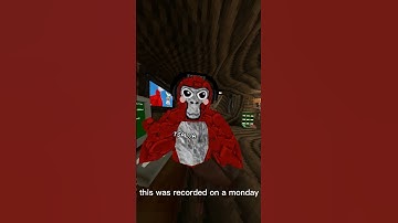 Day 2 of Joining my Fancode Until its Full #shorts #gorillatag #vr