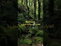  الغابات الاستوائية المطيرة