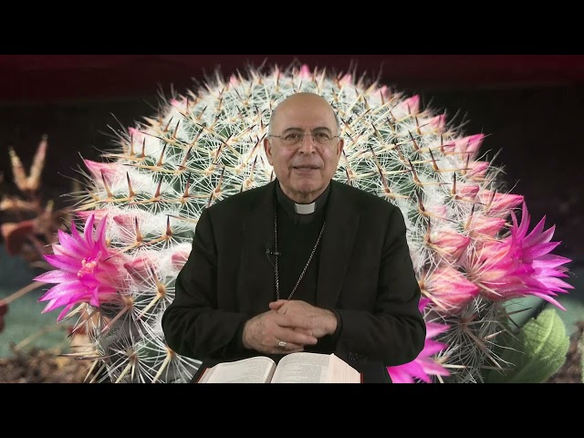 IL VANGELO DEL GIORNO 09 03 2026