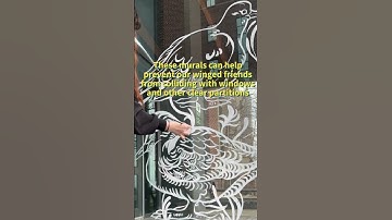 Bird Collisions are Bad News | What We