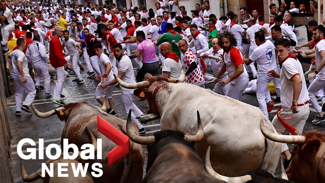 Celebrações e protestos: corrida de touros em Espanha não é consensual -  SIC Notícias