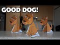 The guard dog illusion